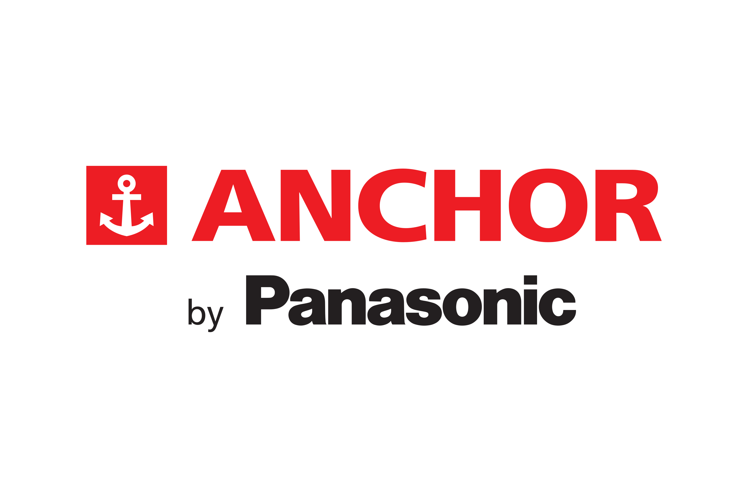 Download Anchor Electricals Pvt. Ltd. Logo in SVG Vector or PNG File Format  