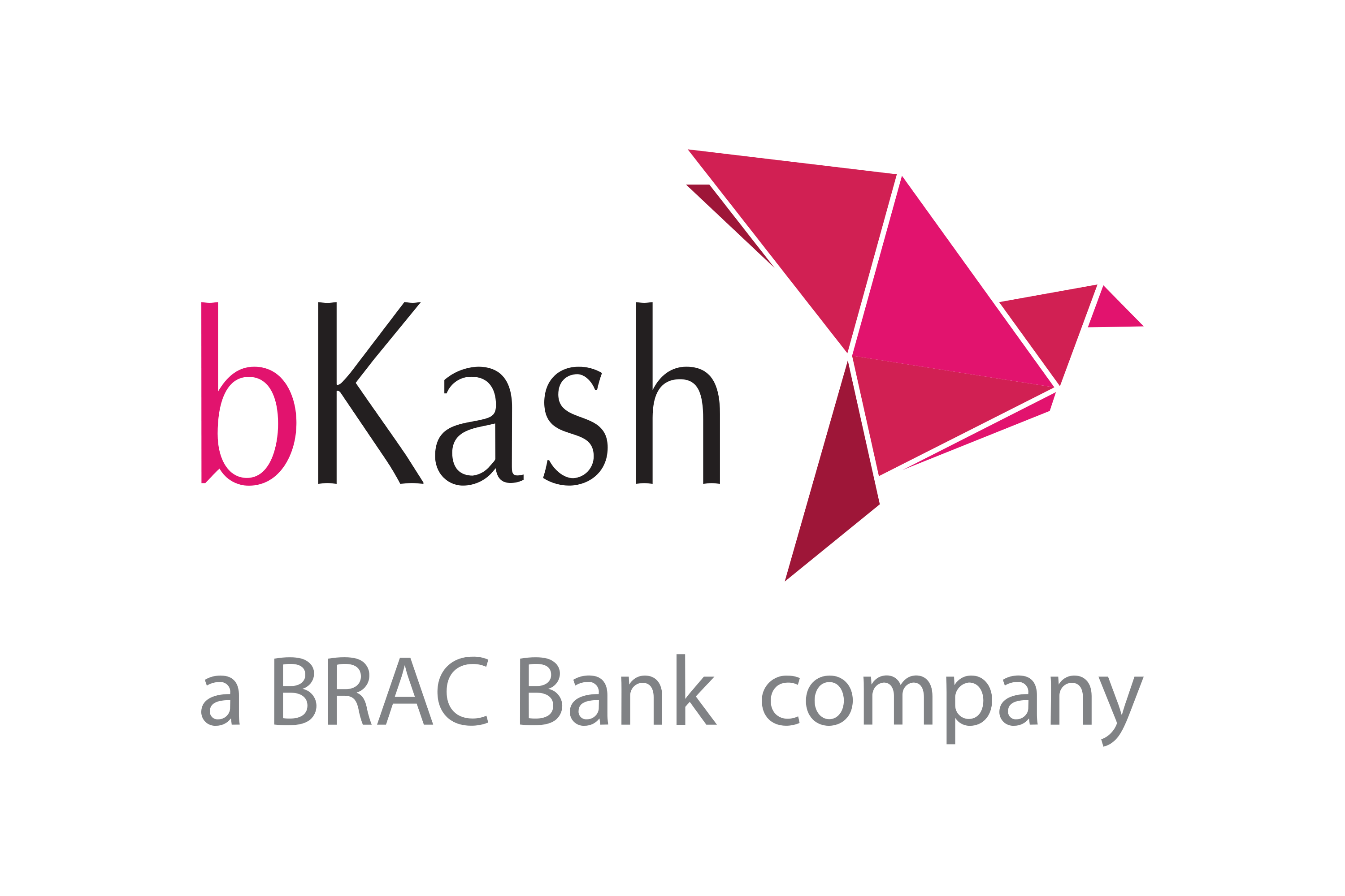 Download bKash Logo in SVG Vector or PNG File Format - Logo.wine