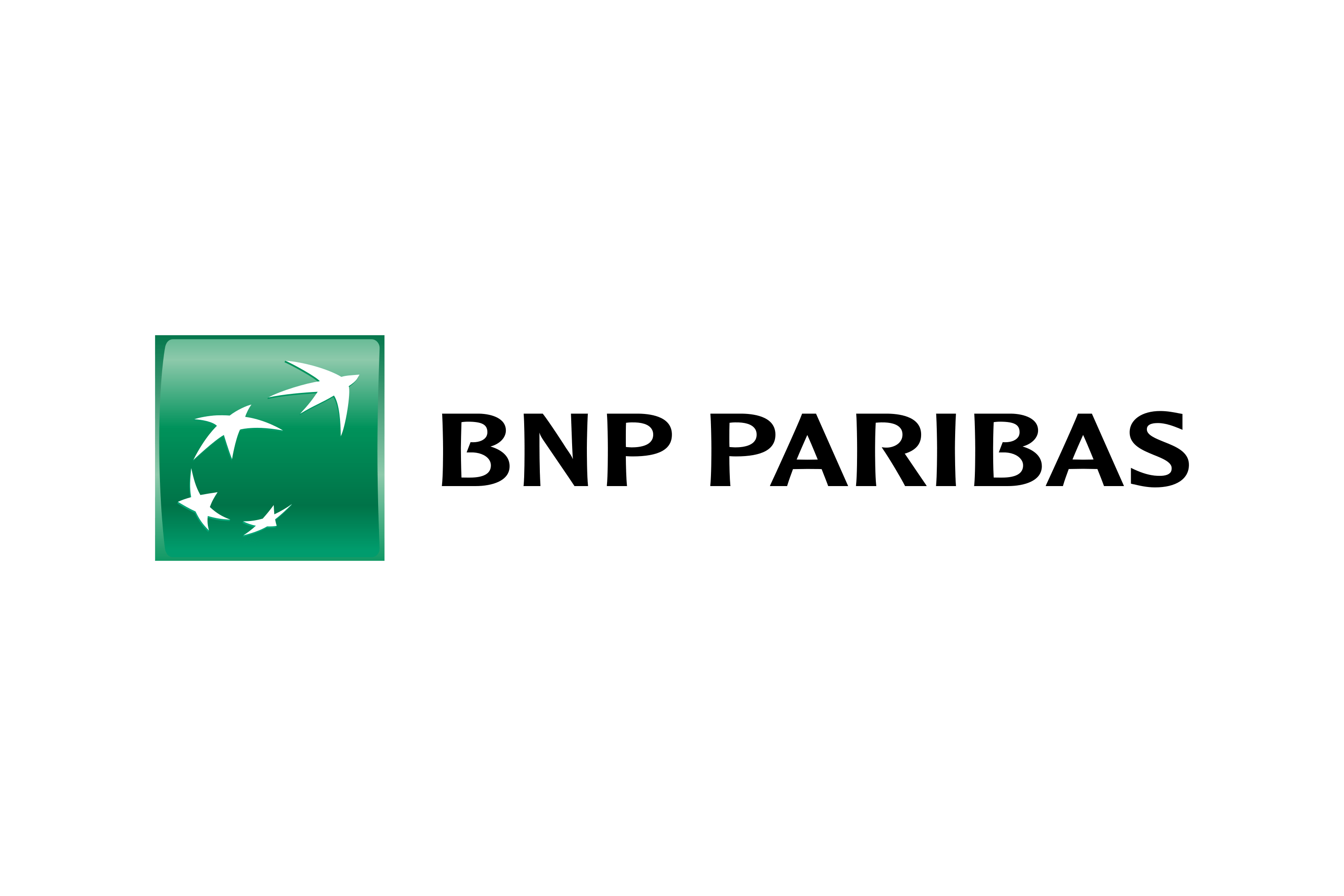 Bnp Cib Logo