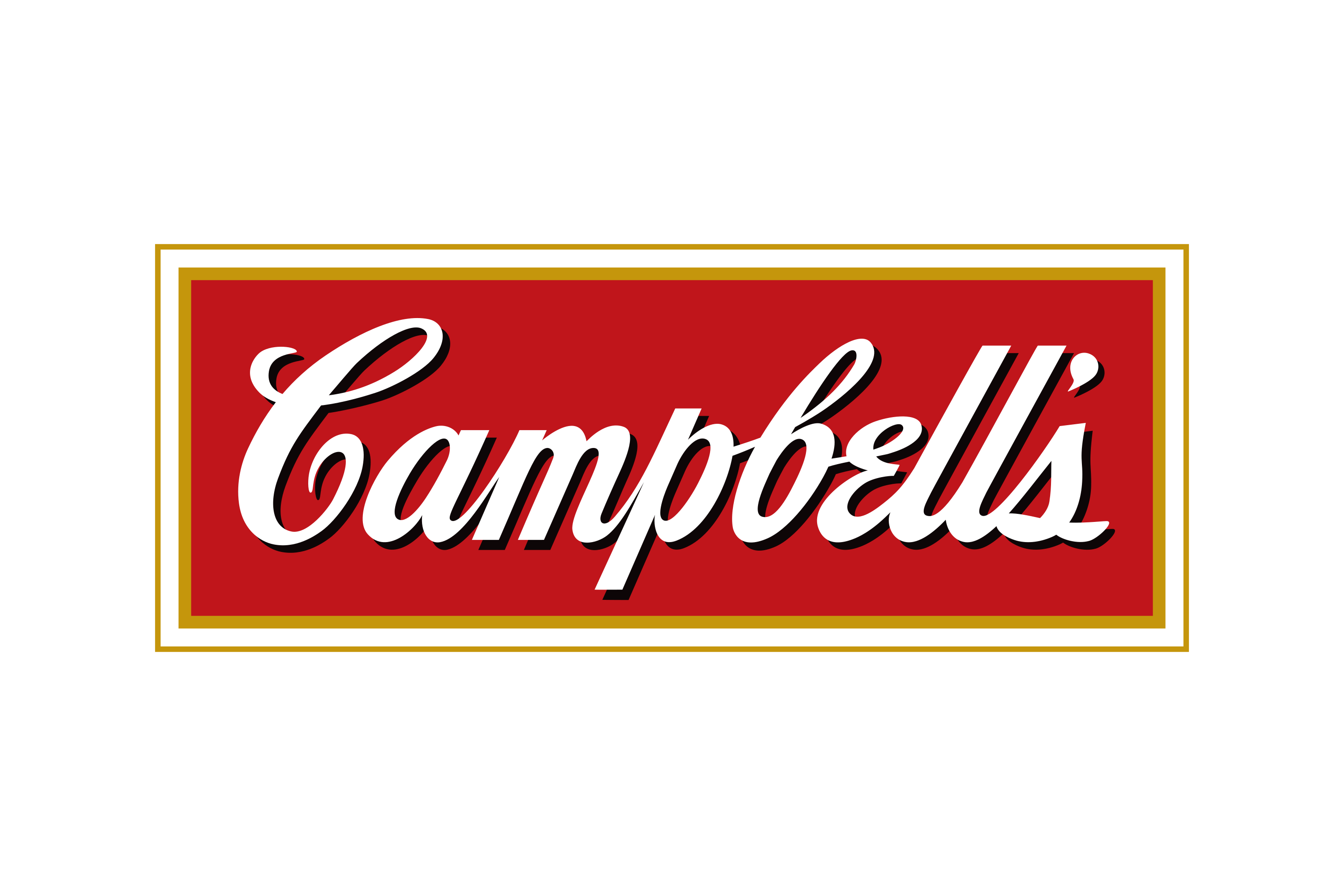 campbells soup logo