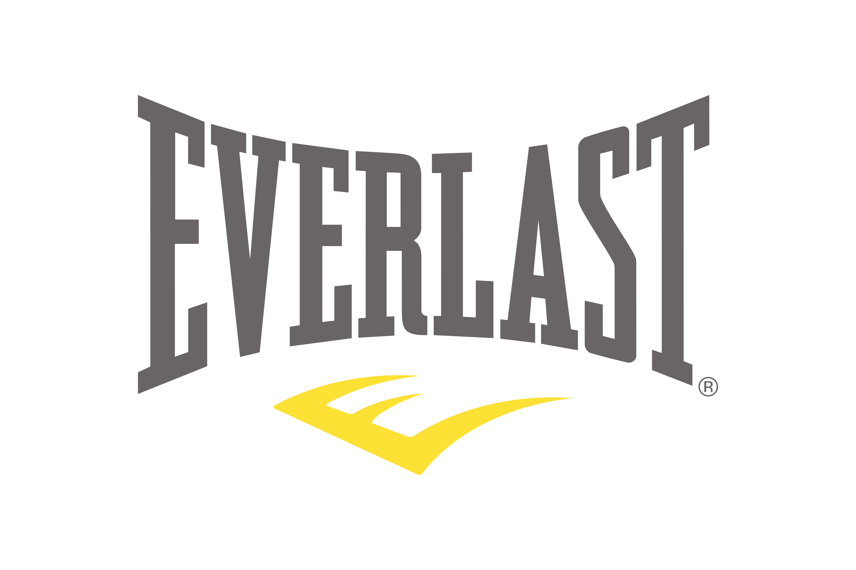 Download Everlast Logo in SVG Vector or PNG File Format 