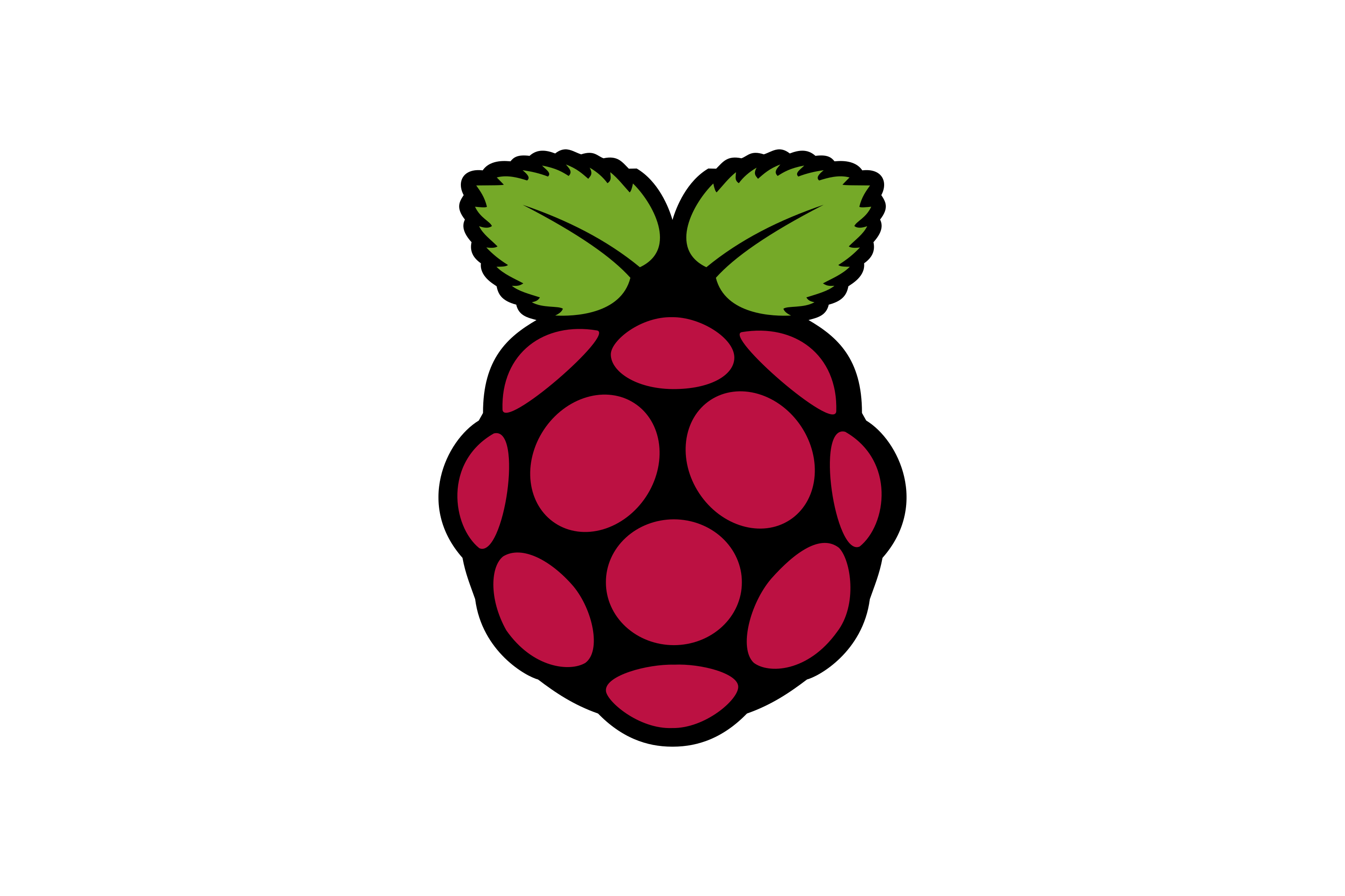 Találkozó Szójegyzék Felhőkarcoló raspberry pi logo png Fordul Csalétek