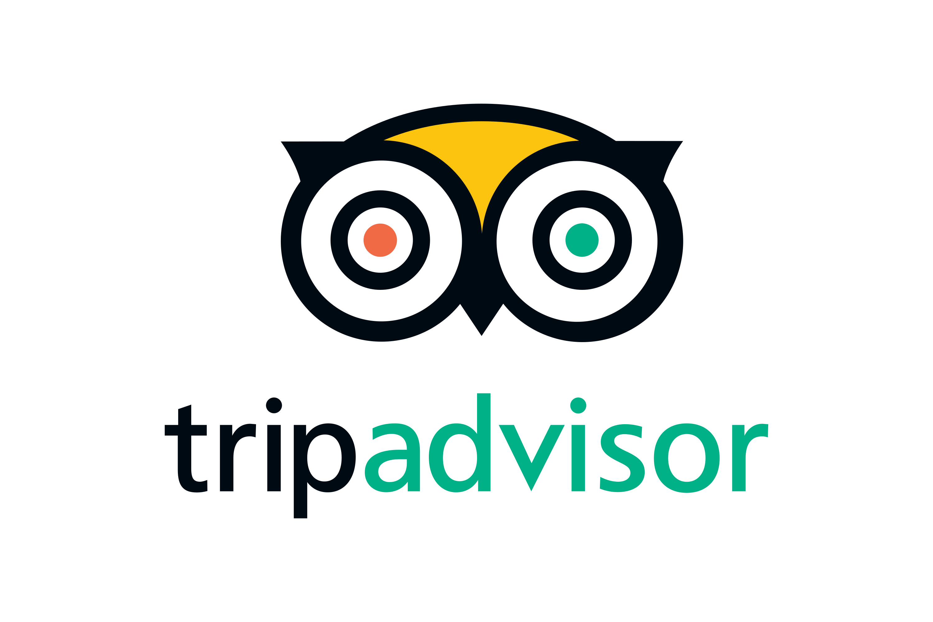 tripadvisor icon vector