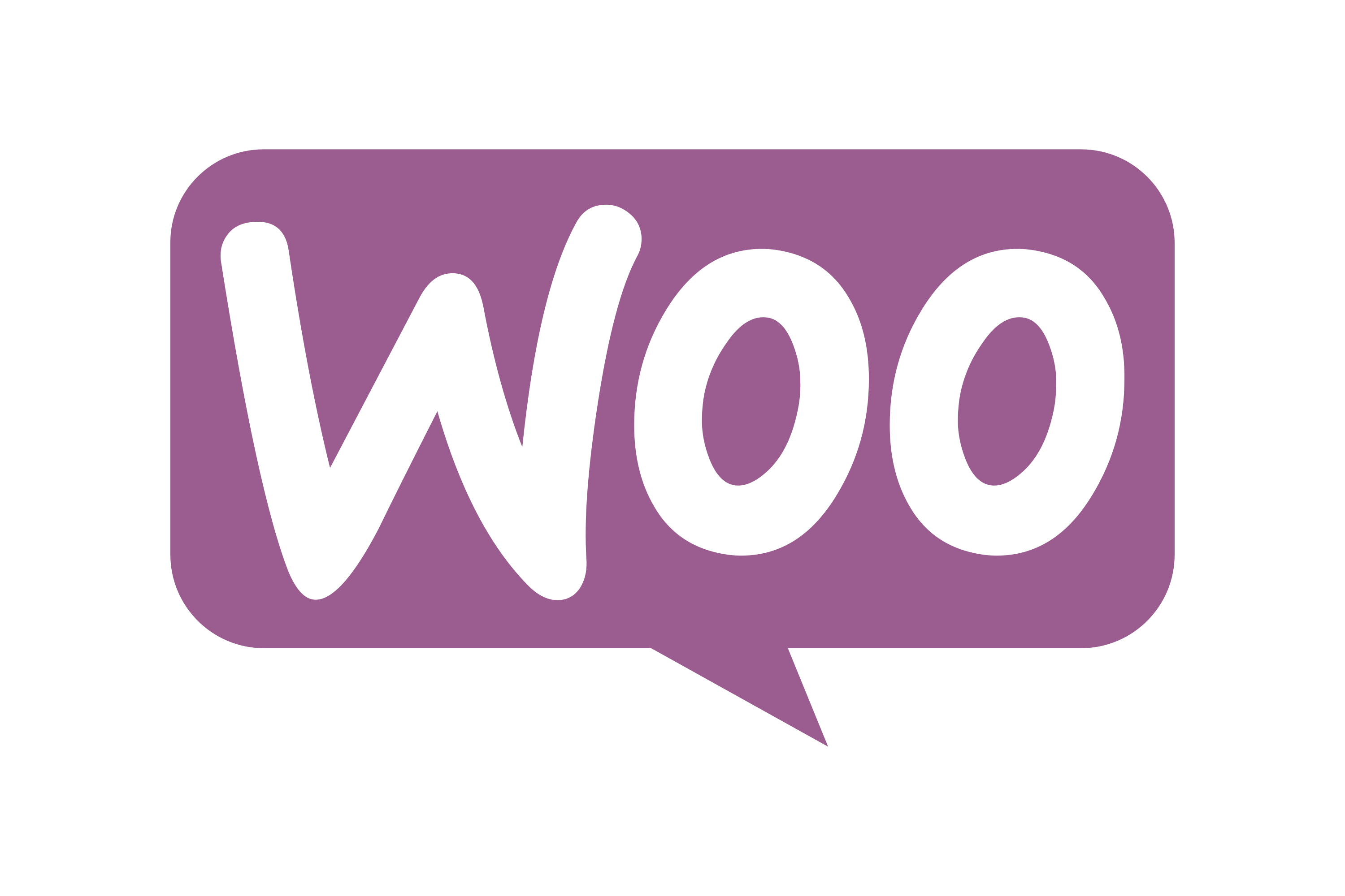 What is WooCommerce? Is It Right for Your Online Store?